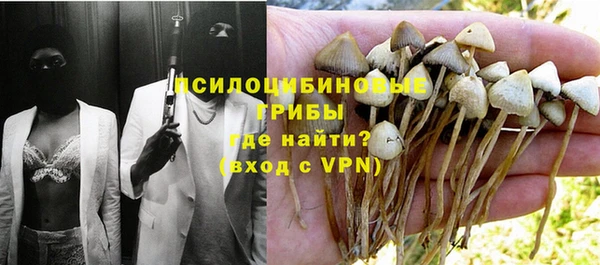 спайс Горняк