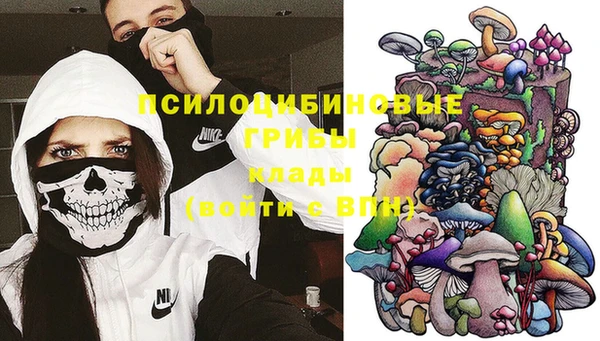 ГАЛЛЮЦИНОГЕННЫЕ ГРИБЫ Горнозаводск