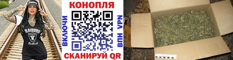 Конопля White Widow  Купить где  Балтийск 
